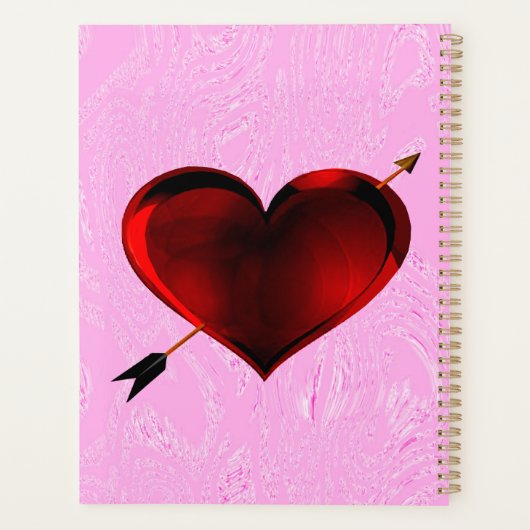 Activiteiten in de omgeving van Pink Ice Spiral No Planner (Achterkant)