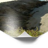 Activiteiten in de omgeving van Point Dume State B Foto Afdruk (Hoek)