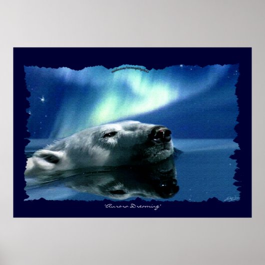 Activiteiten in de omgeving van Polar Beer Arctic  Poster (Voorkant)