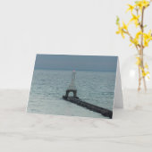 Activiteiten in de omgeving van Port Washington Br Kaart (Gele Bloem)