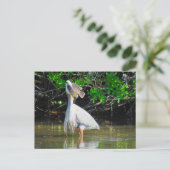 Activiteiten in de omgeving van Postcrossing - Gre Briefkaart (Staand voorkant)