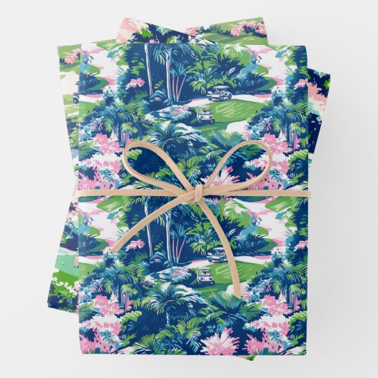 Activiteiten in de omgeving van Preppy Palm Beach  Inpakpapier Vel (In situ)