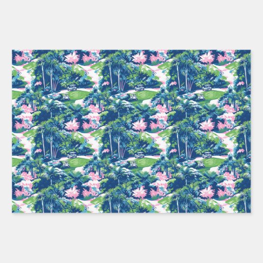 Activiteiten in de omgeving van Preppy Palm Beach  Inpakpapier Vel (Voorkant)