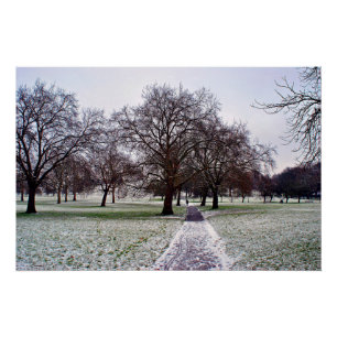 Activiteiten in de omgeving van Primrose Hill Camd Perfect Poster