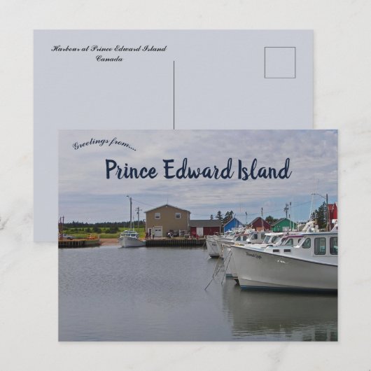 Activiteiten in de omgeving van Prince Edward Isla Briefkaart (Voorkant / Achterkant)