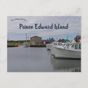 Activiteiten in de omgeving van Prince Edward Isla Briefkaart