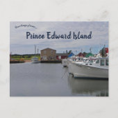 Activiteiten in de omgeving van Prince Edward Isla Briefkaart (Voorkant)