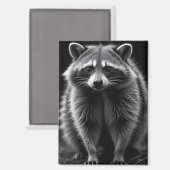 Activiteiten in de omgeving van Raccoon Wildlife M Magneet (Voorkant / Achterkant)
