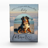 Activiteiten in de omgeving van Rainbow Bridge-Clo Fotoblokken (Voorkant)