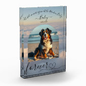 Activiteiten in de omgeving van Rainbow Bridge-Clo Fotoblokken (Links)