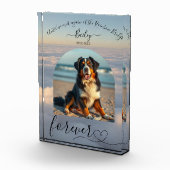 Activiteiten in de omgeving van Rainbow Bridge-Clo Fotoblokken (Rechts)