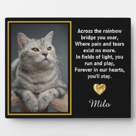 Activiteiten in de omgeving van Rainbow Bridge Gol Fotoplaat