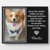 Activiteiten in de omgeving van Rainbow Bridge Sil Fotoplaat (Voorkant)