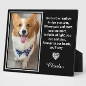 Activiteiten in de omgeving van Rainbow Bridge Sil Fotoplaat (Zijkant)