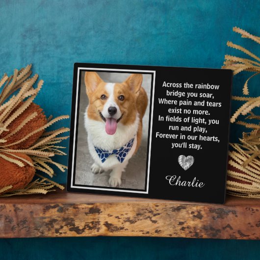 Activiteiten in de omgeving van Rainbow Bridge Sil Fotoplaat (Zijkant)