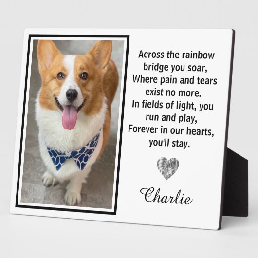 Activiteiten in de omgeving van Rainbow Bridge Sil Fotoplaat (Zijkant)