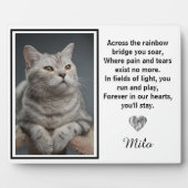 Activiteiten in de omgeving van Rainbow Bridge Sil Fotoplaat (Voorkant)