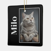 Activiteiten in de omgeving van Rainbow Bridge Sil Keramisch Ornament (Links)