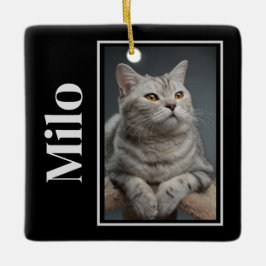 Activiteiten in de omgeving van Rainbow Bridge Sil Keramisch Ornament