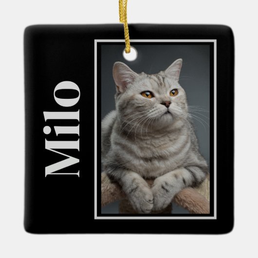 Activiteiten in de omgeving van Rainbow Bridge Sil Keramisch Ornament (Voorkant)