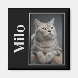 Activiteiten in de omgeving van Rainbow Bridge Sil Magneet