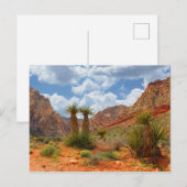 Activiteiten in de omgeving van Red Rock Canyon Sp Briefkaart (Voorkant / Achterkant)