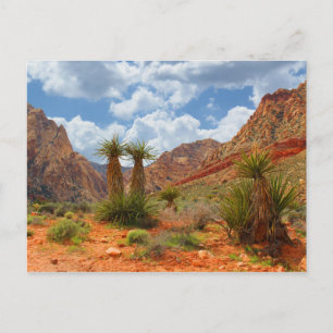 Activiteiten in de omgeving van Red Rock Canyon Sp Briefkaart