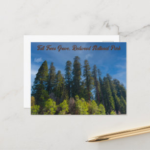 Activiteiten in de omgeving van Redwood National P Briefkaart