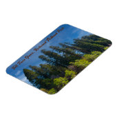 Activiteiten in de omgeving van Redwood National P Magneet (Linkerzijde)