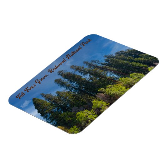 Activiteiten in de omgeving van Redwood National P Magneet (Linkerzijde)