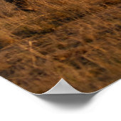 Activiteiten in de omgeving van Rhino at Dusk - Af Poster (Hoek)