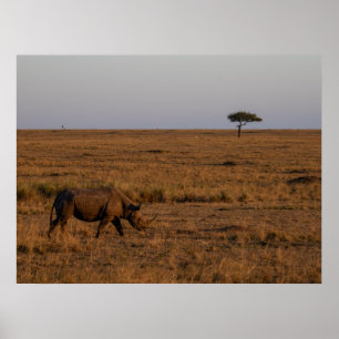 Activiteiten in de omgeving van Rhino at Dusk - Af Poster