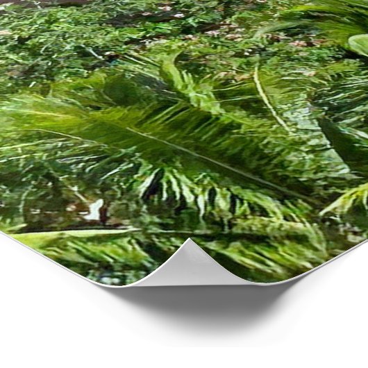 Activiteiten in de omgeving van Royal Hawaiian Hot Poster (Hoek)