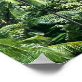 Activiteiten in de omgeving van Royal Hawaiian Hot Poster (Hoek)