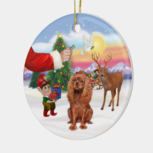 Activiteiten in de omgeving van Ruby Cavalier King Keramisch Ornament (Links)