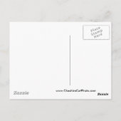 Activiteiten in de omgeving van Santa Cruz Surfer  Briefkaart (Achterkant)