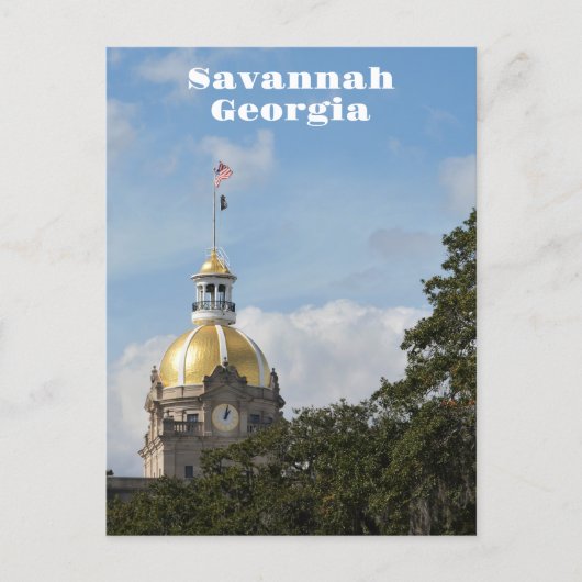 Activiteiten in de omgeving van Savannah Georgia H Briefkaart (Voorkant)