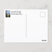 Activiteiten in de omgeving van Savannah Georgia H Briefkaart (Achterkant)