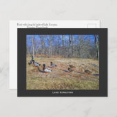 Activiteiten in de omgeving van Scranton PA-Lake S Briefkaart (Voorkant / Achterkant)