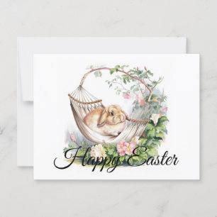 Activiteiten in de omgeving van Serene Bunny Retre Briefkaart