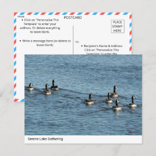 Activiteiten in de omgeving van Serene Lake Gather Briefkaart