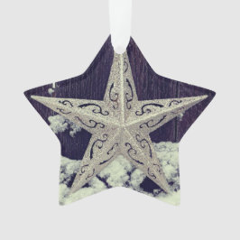 Activiteiten in de omgeving van Silvery Star Holid Ornament