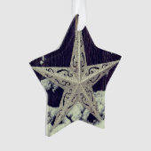 Activiteiten in de omgeving van Silvery Star Holid Ornament (voorkant)
