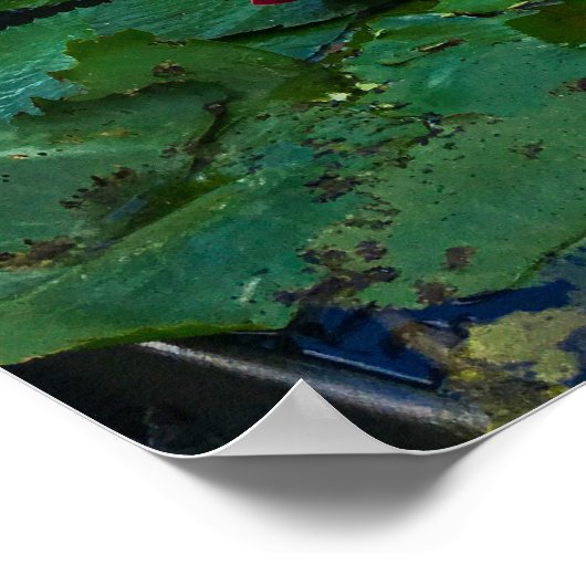 Activiteiten in de omgeving van Singapore Art Scie Poster (Hoek)