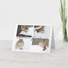Activiteiten in de omgeving van Snowy Chipmunk Col Feestdagen Kaart