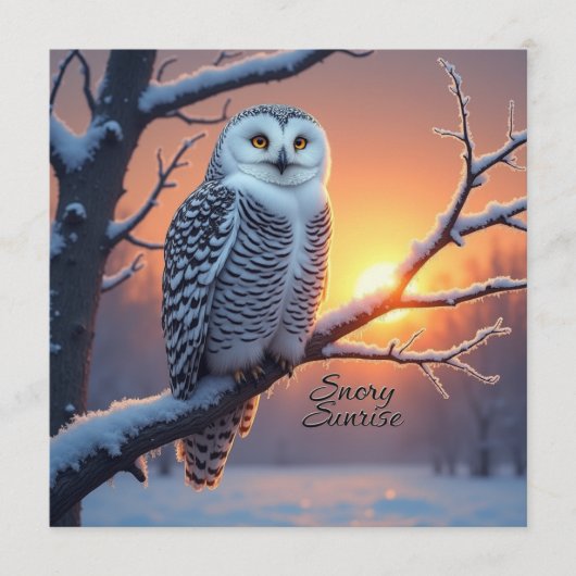 Activiteiten in de omgeving van Snowy Sunrise Wood Advieskaart (Voorkant)