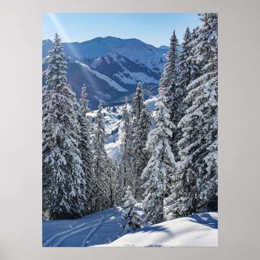 Activiteiten in de omgeving van Snowy Winter Lands Poster (Voorkant)