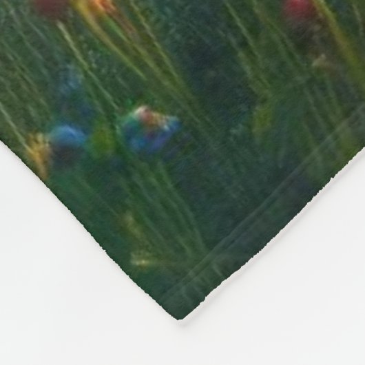 Activiteiten in de omgeving van Soaring Eagle's Da Fleece Deken (Hoek)