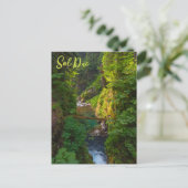 Activiteiten in de omgeving van Sol Duc River Olym Briefkaart (Staand voorkant)