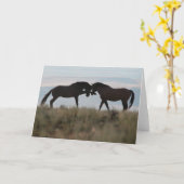 Activiteiten in de omgeving van Son & Sire Mustang Kaart (Gele Bloem)